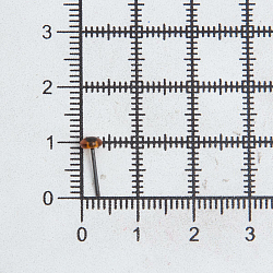 26521 Глазки 4 мм на металл.ножке, упак/10шт, коричневые