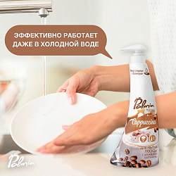 Средство для мытья посуды 'Palmia Cappuccino' 0,45л